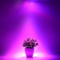 Növénynevelő Led Lámpák